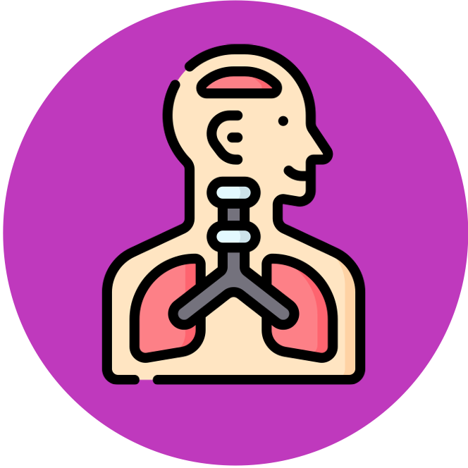 Body systems